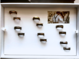 Ringen collectie per tray