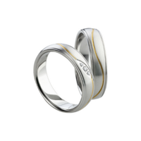 Ringen edelstaal met pvd bicolor