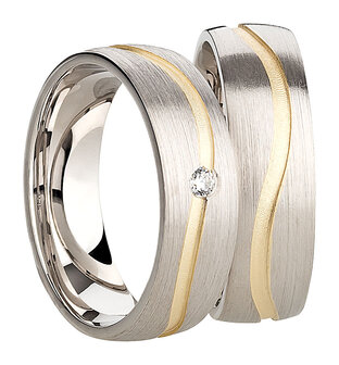 ringen zilver met pvd 